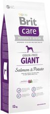 Brit Care Grain-Free Giant Salmon&Potato 12Kg