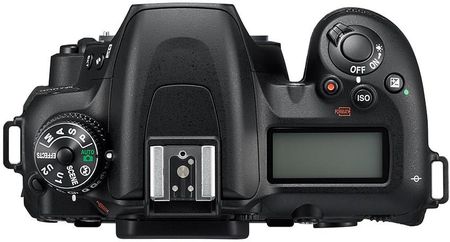 Lustrzanka Nikon D7500 body - Ceny i opinie na Ceneo.pl