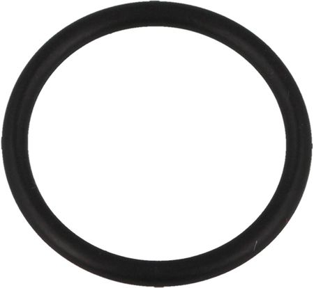 O-Ring 24x2 do pompki PCP Hatsan (52) (K31)