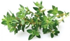 Zdjęcie Click & Grow Thyme Tymianek 3kaps. - Golina