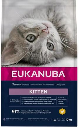 Eukanuba Kitten dla rosnących kociąt 10kg