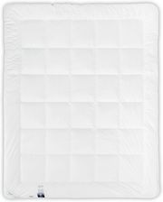 Zdjęcie Amz Kolekcja Batyst - Kołdra Całoroczna 220X200 Włókno Advansa 4-Kanalikowe - Wałbrzych