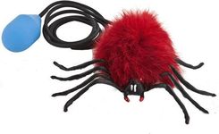 Zdjęcie Inne Piszczek Skaczący Pająk - Łódź