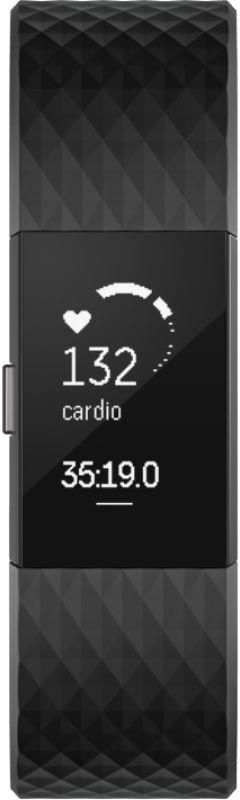 fitbit 407