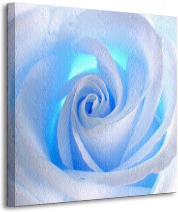 Niebieska Róża Niebieski Kwiat - Obraz 40x40 cm