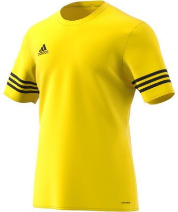 Adidas entrada 14 junior best sale