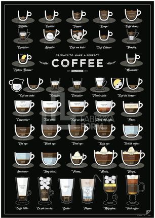 Follygraph Plakat 38 Ways To Make A Perfect Coffee 2 Ed.