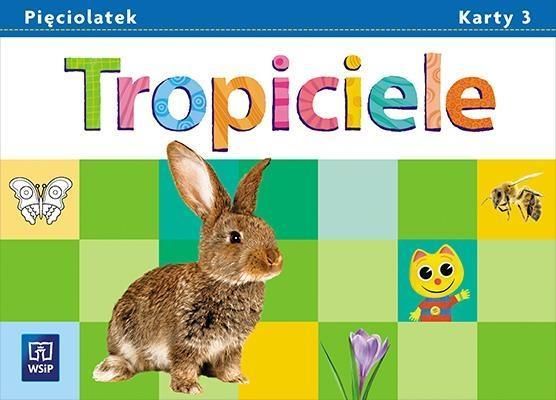 Podręcznik szkolny Tropiciele. Pięciolatek. Karty pracy. Część