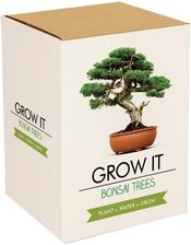 jakie Akcesoria do sadzenia i pielęgnacji roślin wybrać - Gift Republic Zestaw do uprawy roślin Bonsai Trees GR200006
