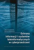 Zdjęcie Ochrona informacji i systemów teleinformatycznych w cyberprzeni. - Rybnik