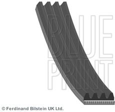 Zdjęcie BLUE PRINT Pasek klinowy wielorowkowy  AD04R954 - Bobowa