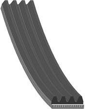 Zdjęcie BLUE PRINT Pasek klinowy wielorowkowy  AD04R965 - Stopnica