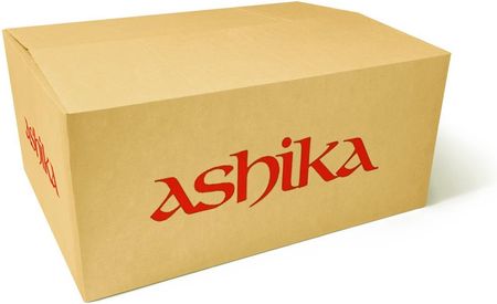 ASHIKA Amortyzator  MA-40019