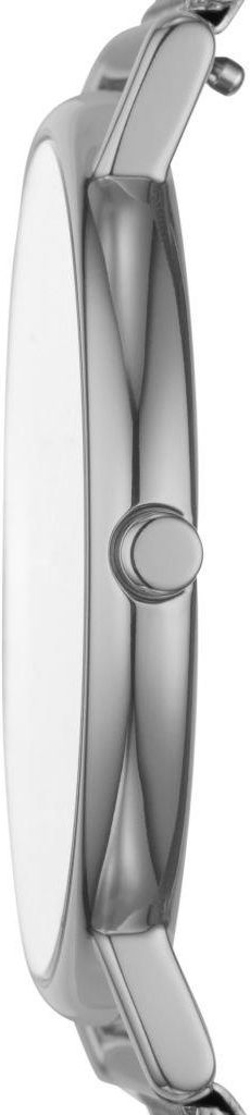 Skagen SKW6420 - Zegarki Męskie - Ceny i opinie - Ceneo.pl