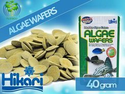 Hikari Algae Wafers 40g - Pokarm dla ryb akwariowych