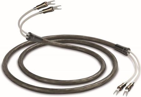 QED Kabel głośnikowy Supremus 2.5m (QE000325M)