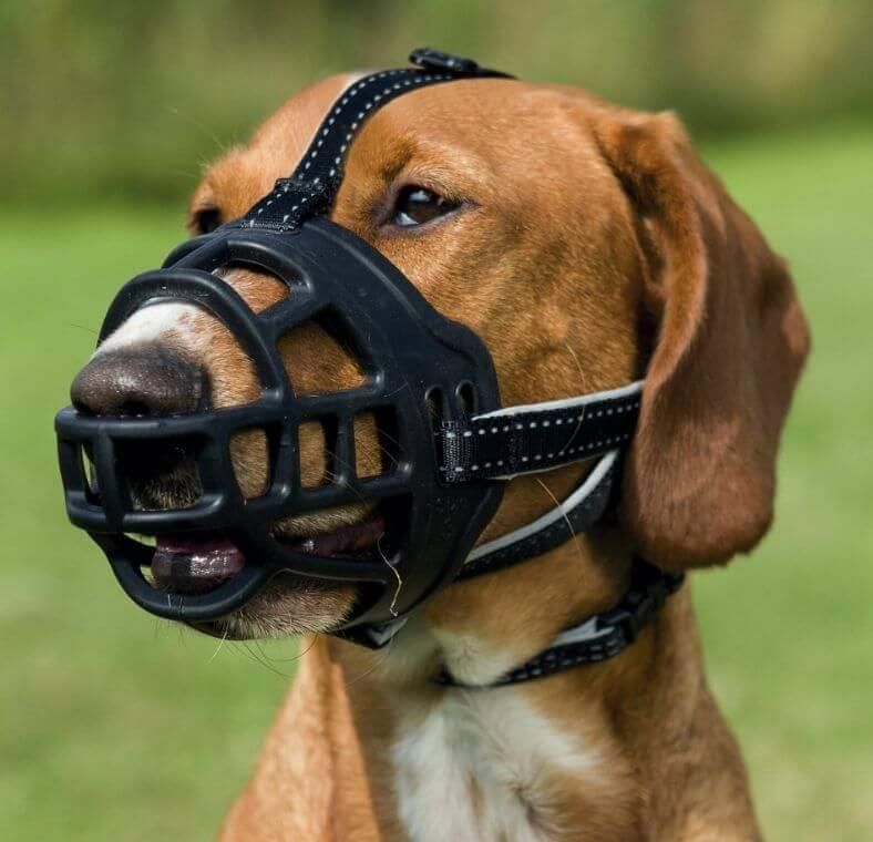 TRIXIE Kaganiec Muzzle Flex Sylikonowy M-L - zdjęcie 1 TRIXIE Kaganiec Muzzle Flex Sylikonowy M-L