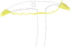 Zdjęcie Grivel Osłona Do Czekana Axe Guard  - Pruchnik