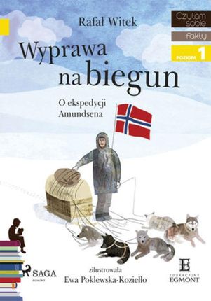 Wyprawa Na Biegun O ekspedycji Amundsena Rafał Witek