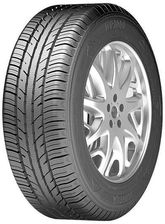 Zeetex Wp1000 195/55R15 85H