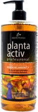 Zdjęcie Aquabotanique Planta Active - Mikroelementy 500ml - Bartoszyce