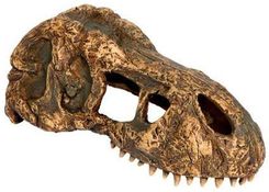 Zdjęcie EXO TERRA T-Rex skull czaszka dinozaura - Bytom