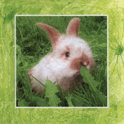 Serwetka do decoupage-króliczek w trawie 6070