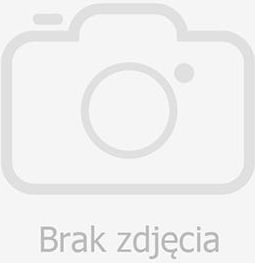 Neo Sport Neosport Ławeczka Łamana Do Ćwiczeń - zdjęcie 2 Neo Sport Neosport Ławeczka Łamana Do Ćwiczeń