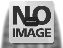 Zdjęcie Sunfull Sf-W05 225/70R15 112/110R - Zabrze