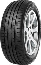 Minerva F209 205/55R16 91H