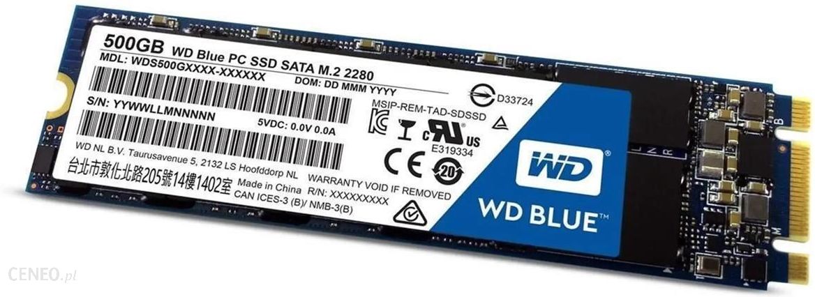  WD Blue SSD 500GB M.2 (WDS500G2B0B)