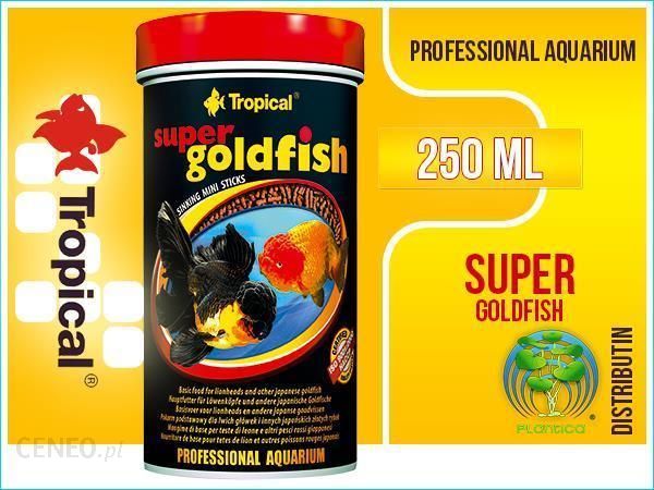 tropical super goldfish