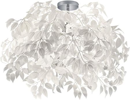 Trio Leavy (R60463001)