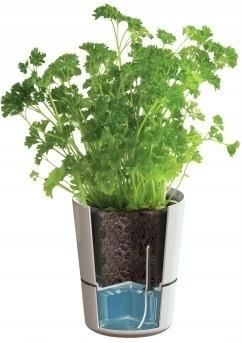 Rosti Mepal Doniczka Na Zioła Ceramiczna Herbs Podwójna Biała 22 Cm - zdjęcie 1 Rosti Mepal Doniczka Na Zioła Ceramiczna Herbs Podwójna Biała 22 Cm
