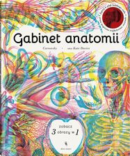Zdjęcie Gabinet Anatomii - Lublin