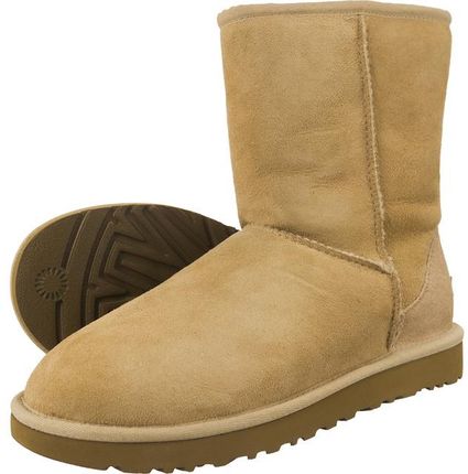UGG Amie Classic ceneo UGG Amie Classic ceneo