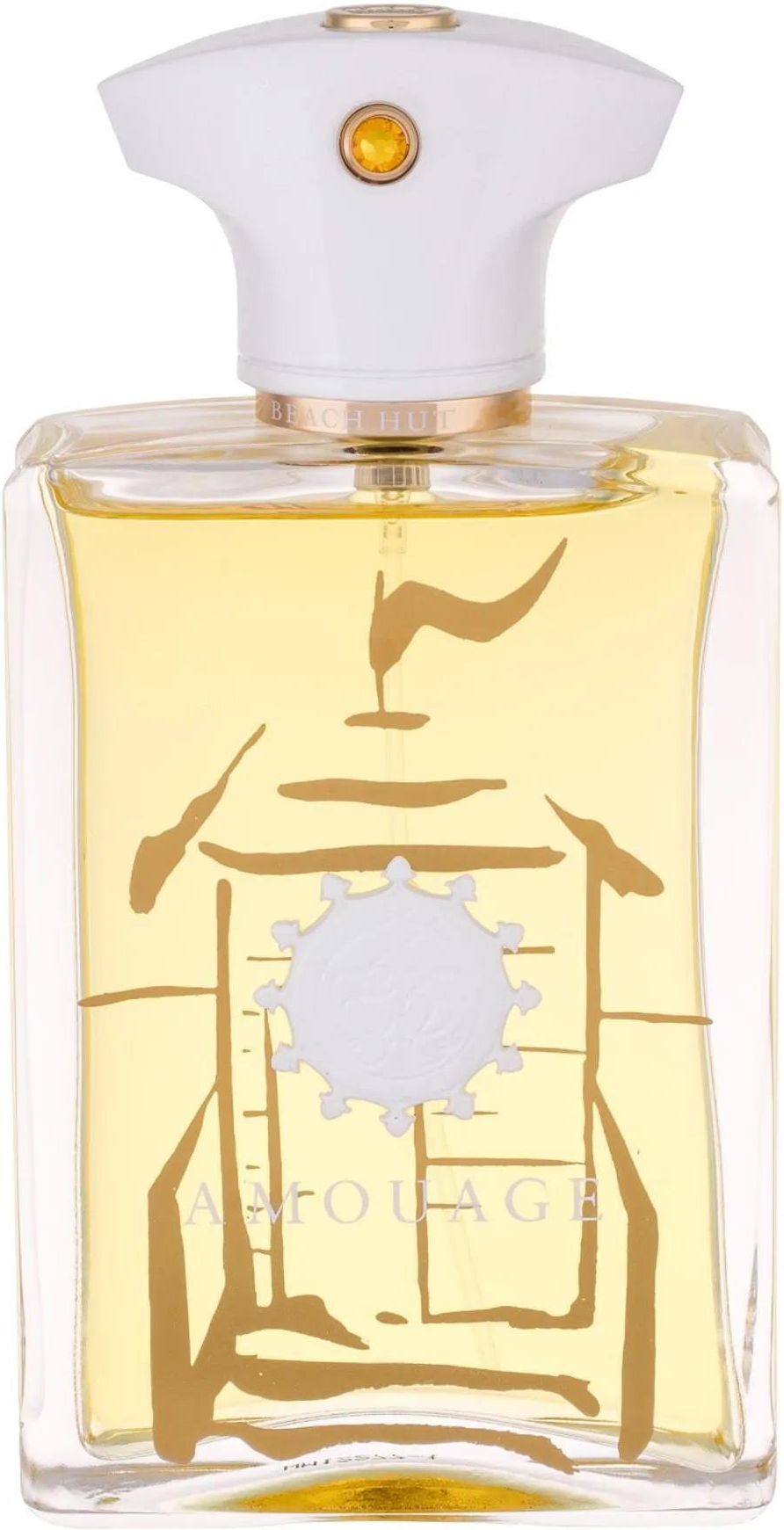 Amouage Beach Hut Man Woda Perfumowana 100 ml Opinie i ceny na