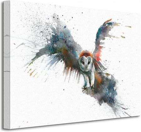 Lot Ptaka Sowa - Obraz na płótnie 40x30 cm