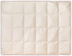 Zdjęcie Amz Kołdra Całoroczna Półpuch Gęsi 5% Mr. Pillow 155X200  - Wałbrzych