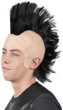 Zdjęcie aster Peruka Punk - Połczyn-Zdrój