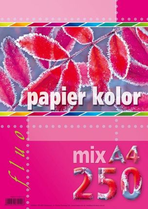 Kreska Papier Kolorowy A4 250K Mix Kolorów Fluo