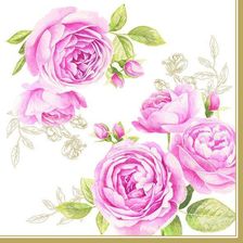 Zdjęcie Nuova R2S Serwetki 3-Warstwowe 20szt 414Cate - Sulejówek