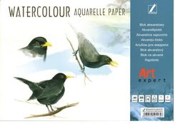 Zdjęcie Blok Akwarelowy Art Expert A4/10Ark 300G - Gniezno