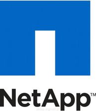 NetApp do DS14MK2 AT (X516A)