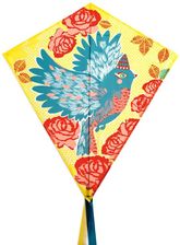 Zdjęcie Djeco Latawiec Bird - Bytom