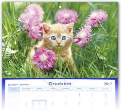 Zdjęcie Kalendarz trójdzielny 2025 Koty - Luboń