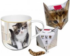 Carmani Kubek - Kociak + Pudełko Z Ogonkiem Sweety Kitty 500Ml