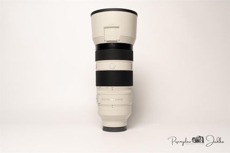 SONY FE100-400mm f4.5〜5.6 GM　OSS（46) Sony FE 100-400mm f4.5-5.6 OSS GM Lens | Wex Photo Video
