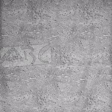Zdjęcie Duschy WATER GREY zasłona prysznicowa 180x200cm - Krzywiń