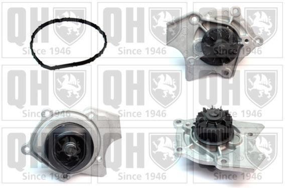 Quinton Hazell QFP120 Fuel Pump - Parts In Motion